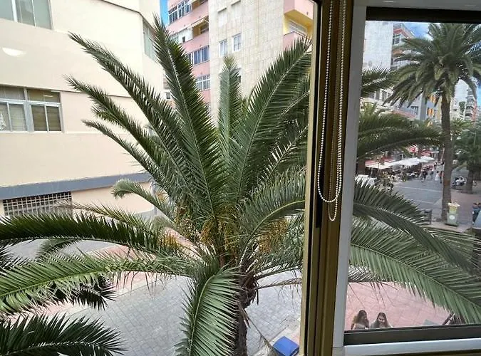 Palmeras 102