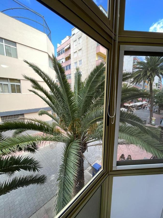 Palmeras 102